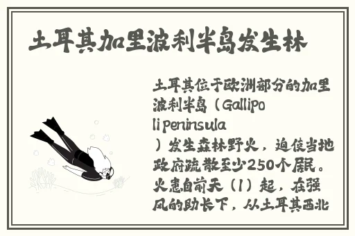 一区二区国产精品精华液